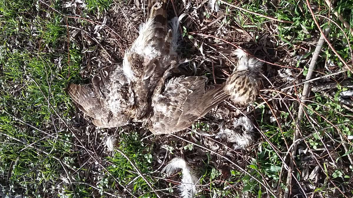 ���� �����... ����� �����������  �� PhotoGeek.ru #��������