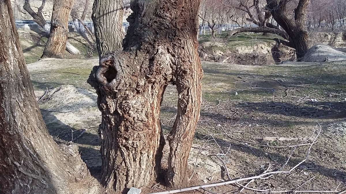 ������... ����� �����������  �� PhotoGeek.ru #��������