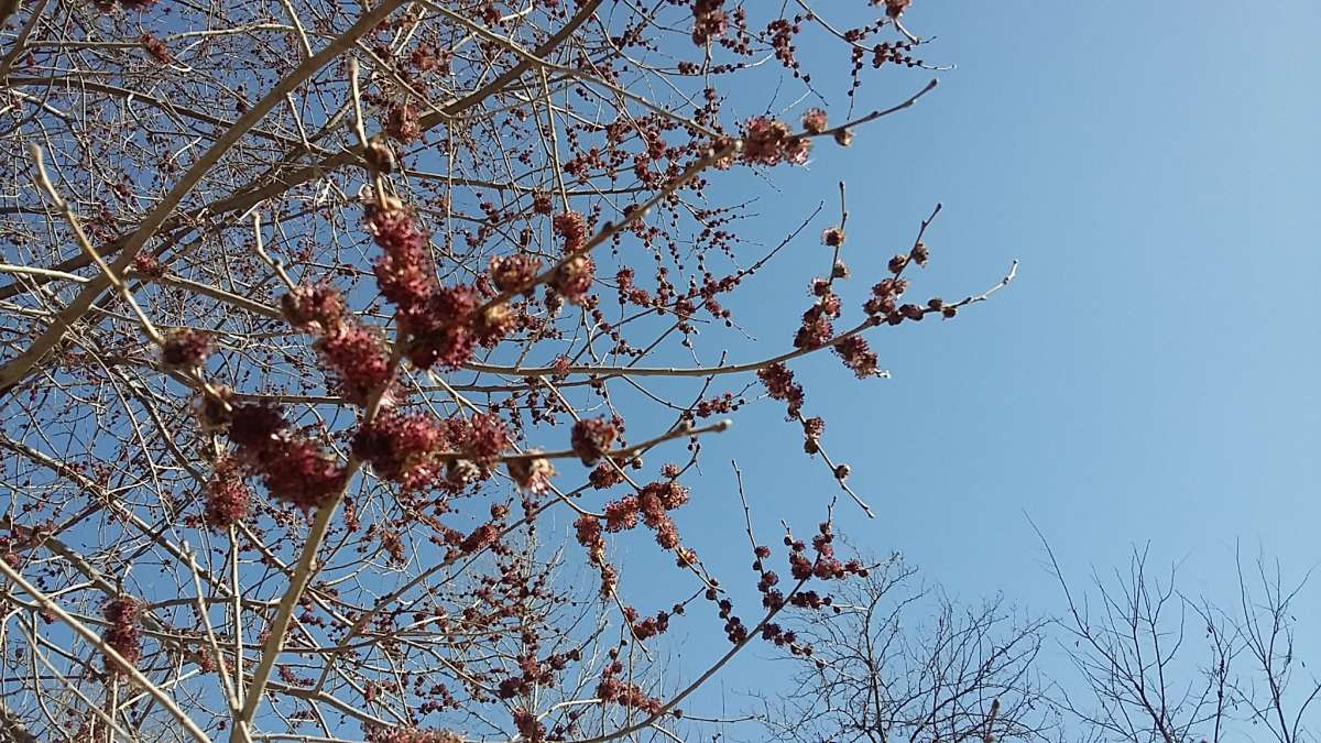 ����� �����... ����� �����������  �� PhotoGeek.ru #��������