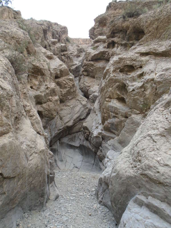 ������... ����� �����������  �� PhotoGeek.ru #��������