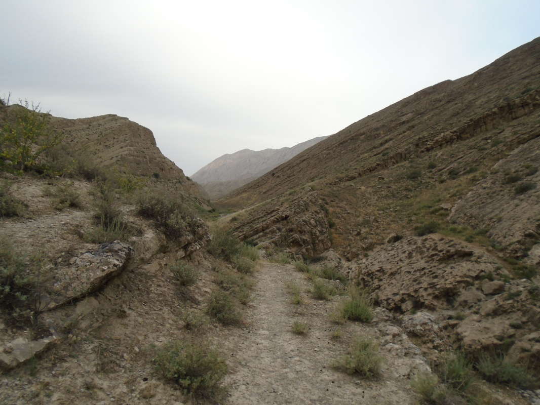 � �� �����... ����� �����������  �� PhotoGeek.ru #��������