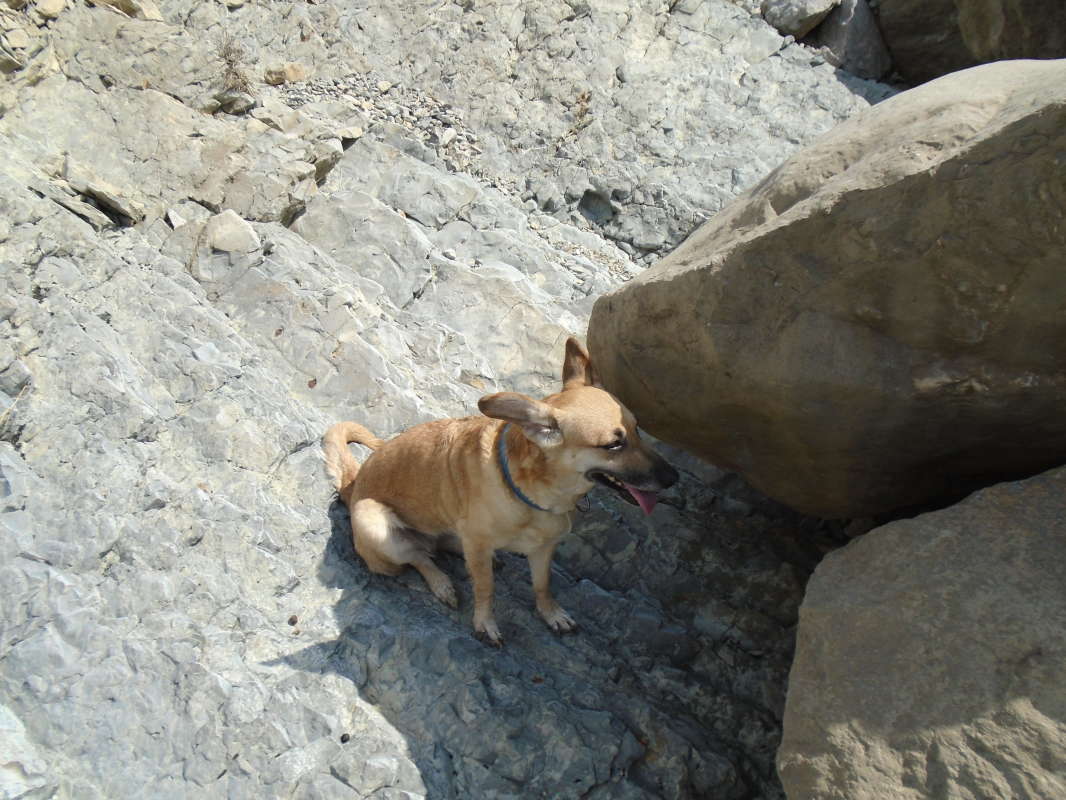 ����� �����������... ����� �����������  �� PhotoGeek.ru #��������