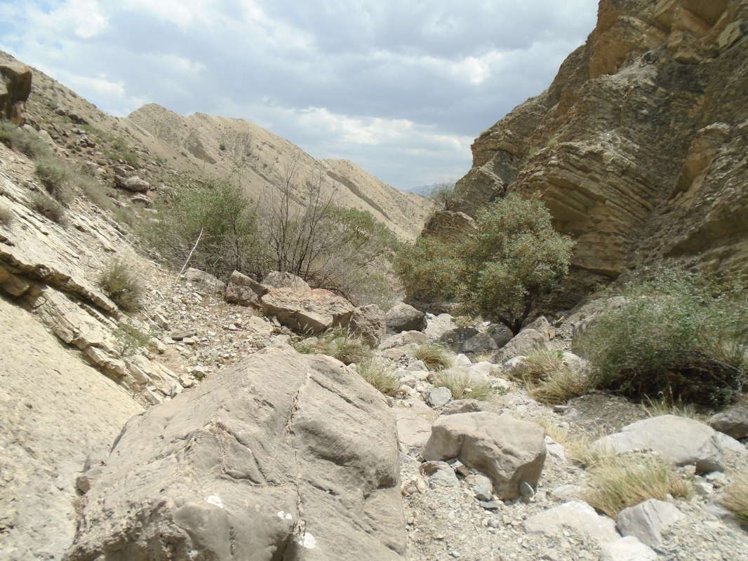 ���������� ������... ����� �����������  �� PhotoGeek.ru #��������