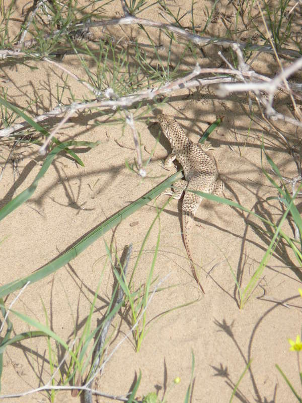 ���������... ����� �����������  �� PhotoGeek.ru #��������