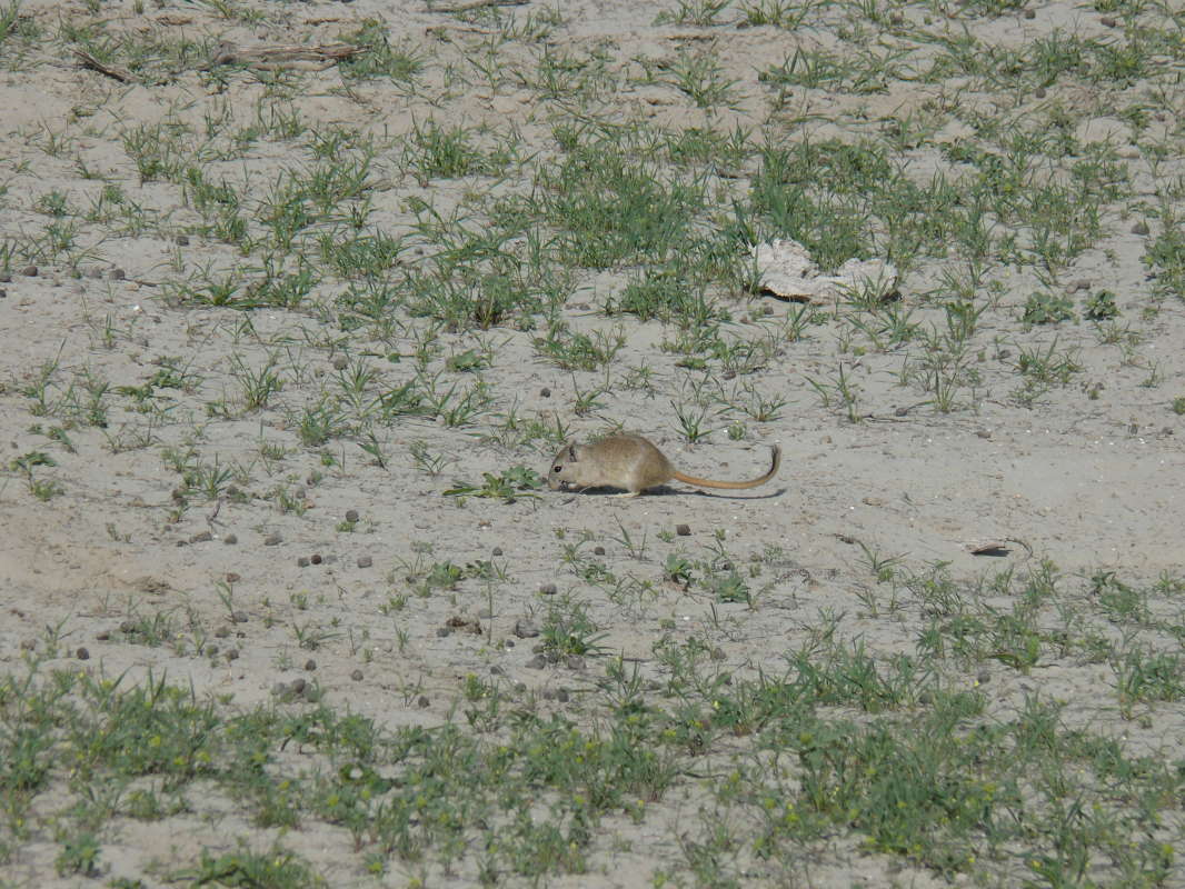 ����... ����� �����������  �� PhotoGeek.ru #��������