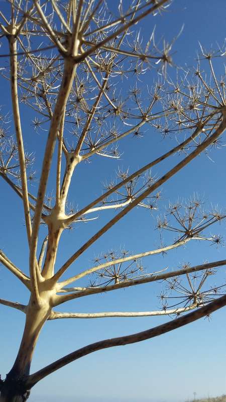 �����������... ����� �����������  �� PhotoGeek.ru #��������