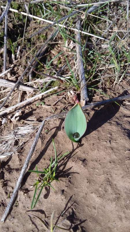 ������... ����� �����������  �� PhotoGeek.ru #��������