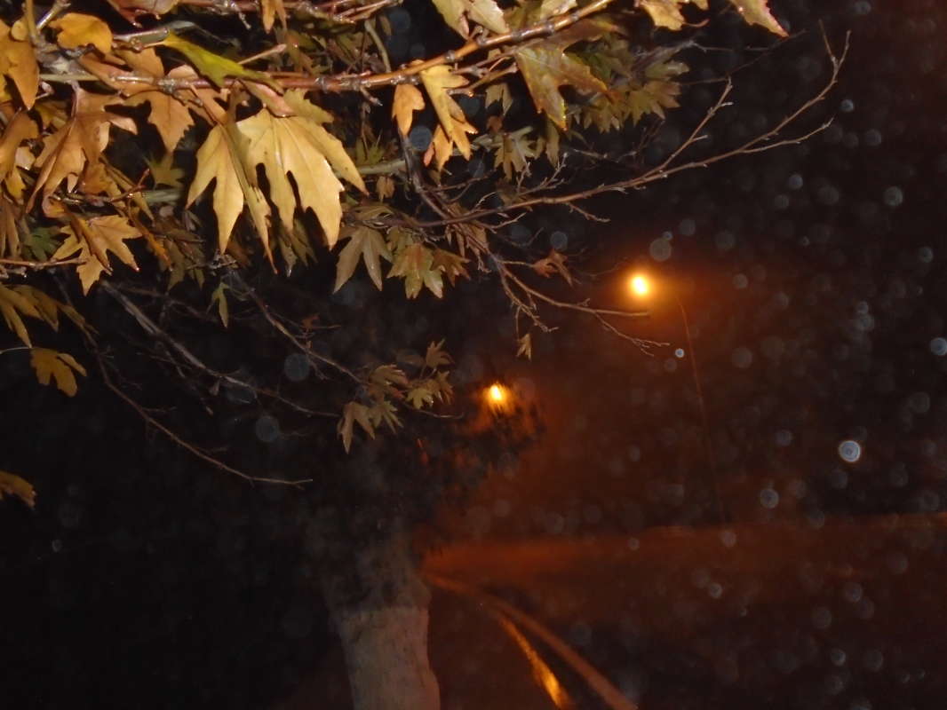 ���� �������... ����� �����������  �� PhotoGeek.ru #��������