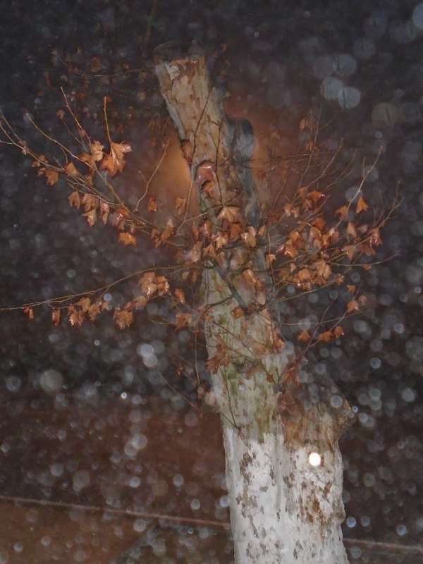 ������... ����� �����������  �� PhotoGeek.ru #��������