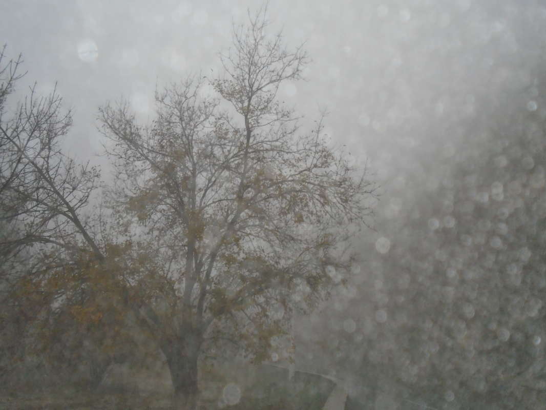 ������... ����� �����������  �� PhotoGeek.ru #��������