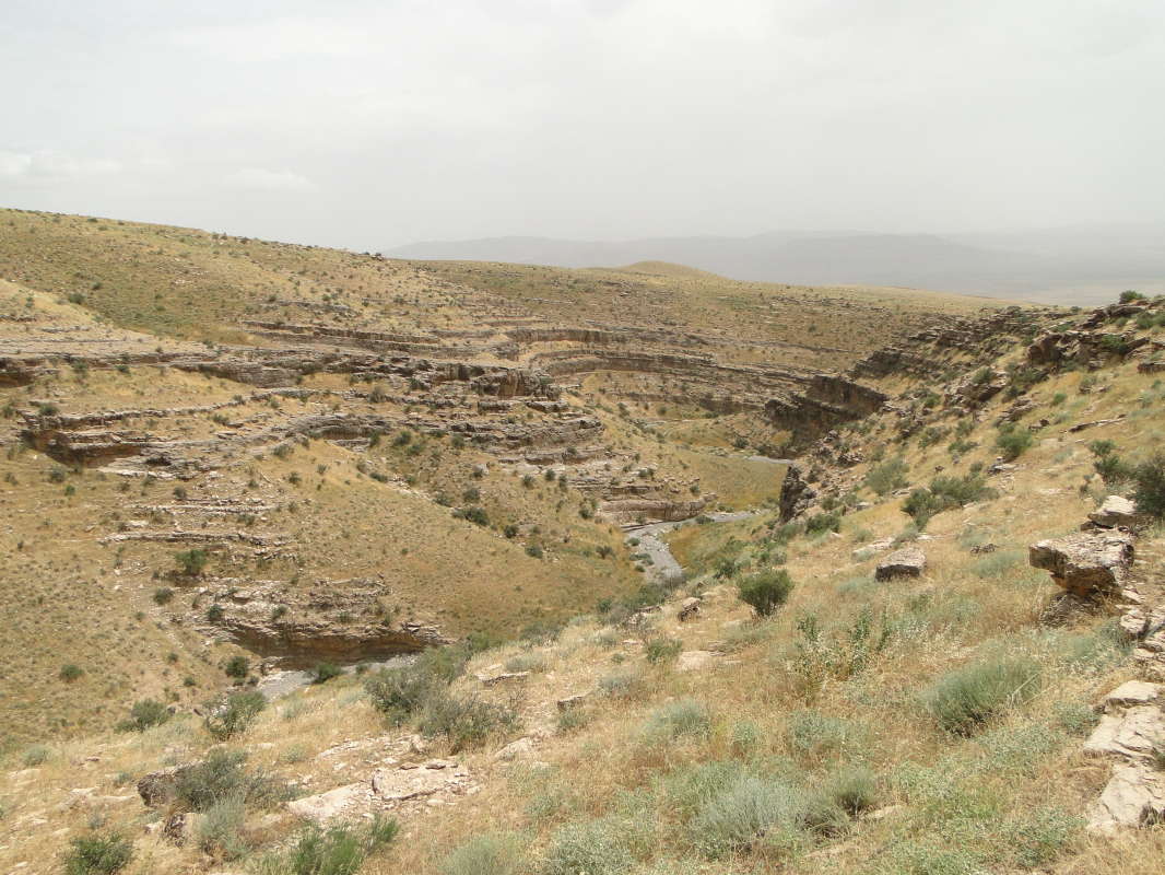 �������... ����� �����������  �� PhotoGeek.ru #��������