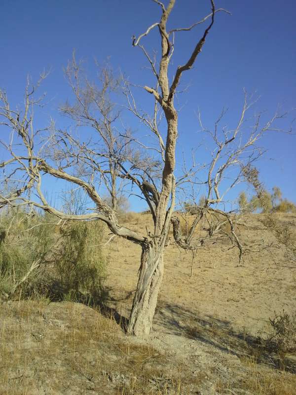 ������� ����� ������� � �������... ����� �����������  �� PhotoGeek.ru #��������