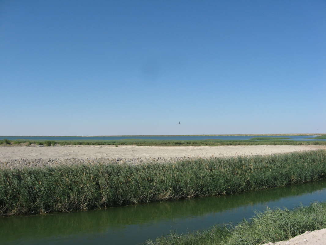 ���������... ����� �����������  �� PhotoGeek.ru #��������