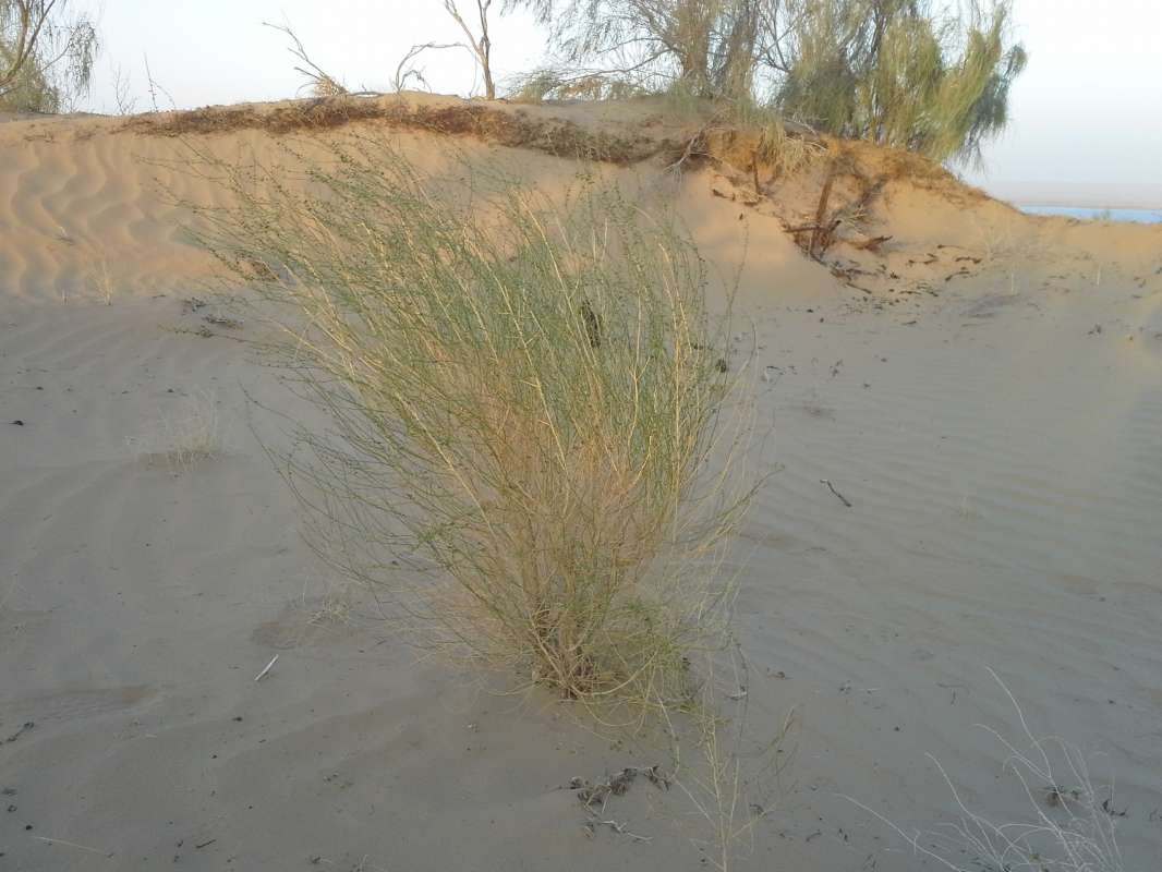 � ������� �������... ����� �����������  �� PhotoGeek.ru #��������