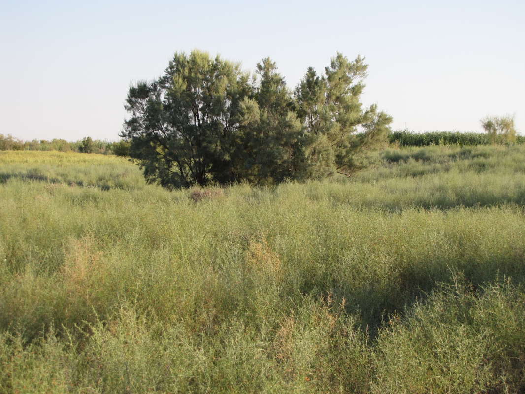 �����... ����� �����������  �� PhotoGeek.ru #��������