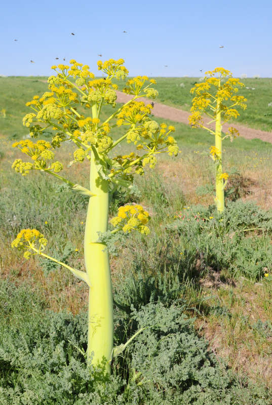 ����� �������... ����� �����������  �� PhotoGeek.ru #��������