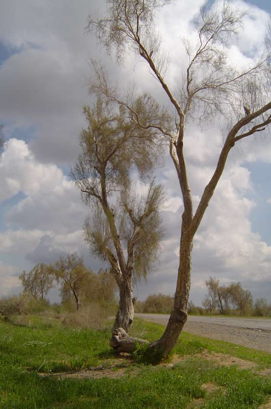 ... ����� �����������  �� PhotoGeek.ru #��������