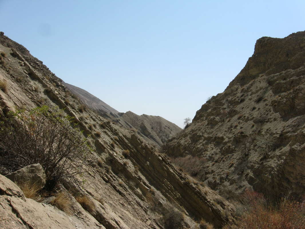 �������... ����� �����������  �� PhotoGeek.ru #��������