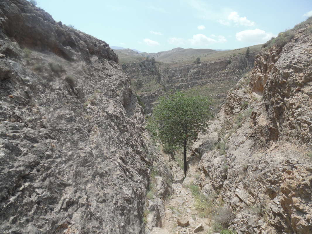 �������... ����� �����������  �� PhotoGeek.ru #��������