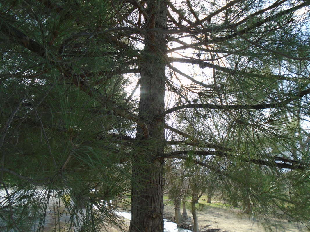 �������... ����� �����������  �� PhotoGeek.ru #��������