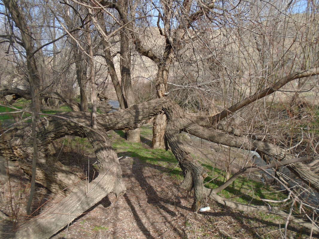 � ������������ � �����... ����� �����������  �� PhotoGeek.ru #��������