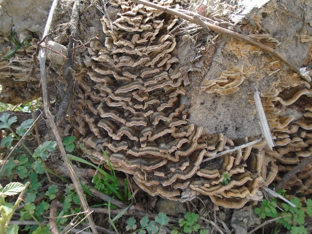 �����... ����� �����������  �� PhotoGeek.ru #��������