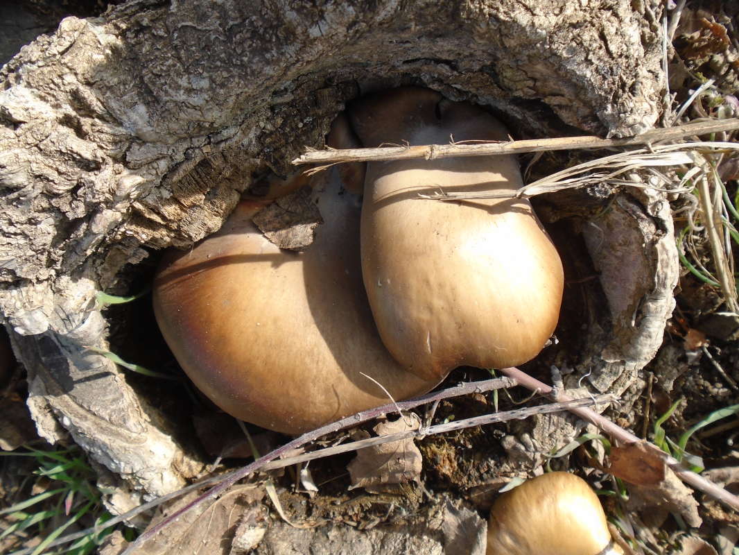 �����������... ����� �����������  �� PhotoGeek.ru #��������