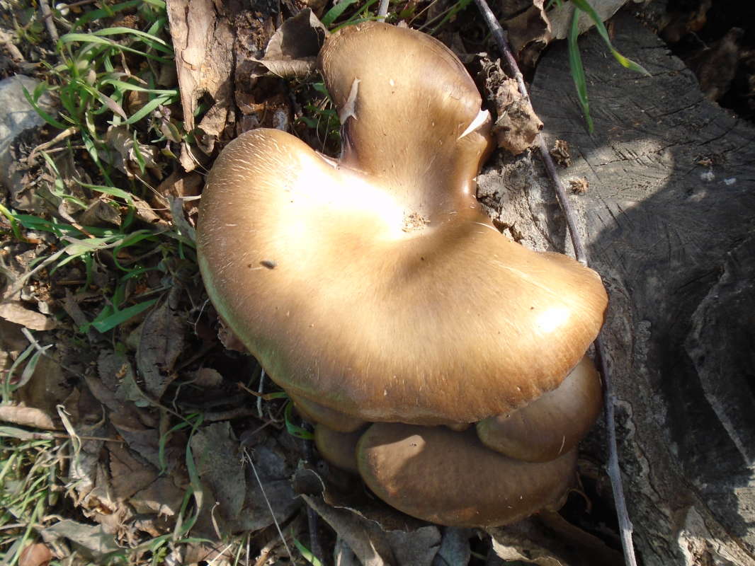 ������ ����... ����� �����������  �� PhotoGeek.ru #��������