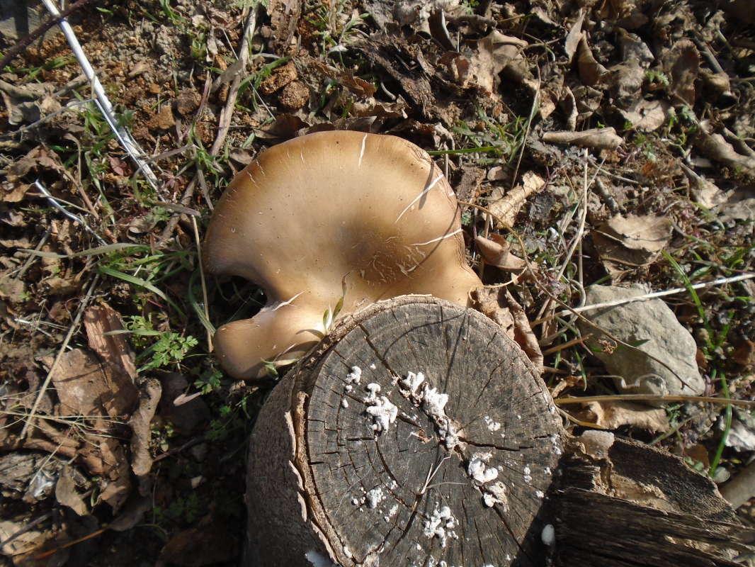 �������� �����... ����� �����������  �� PhotoGeek.ru #��������