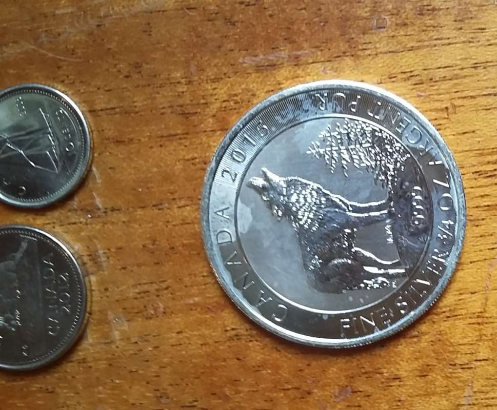 � ������... ����� �����������  �� PhotoGeek.ru #��������