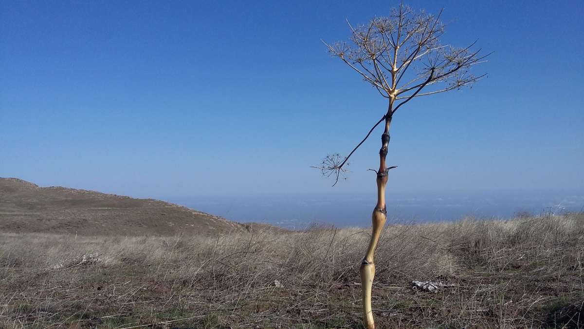 �������� ��� ����... ����� �����������  �� PhotoGeek.ru #��������