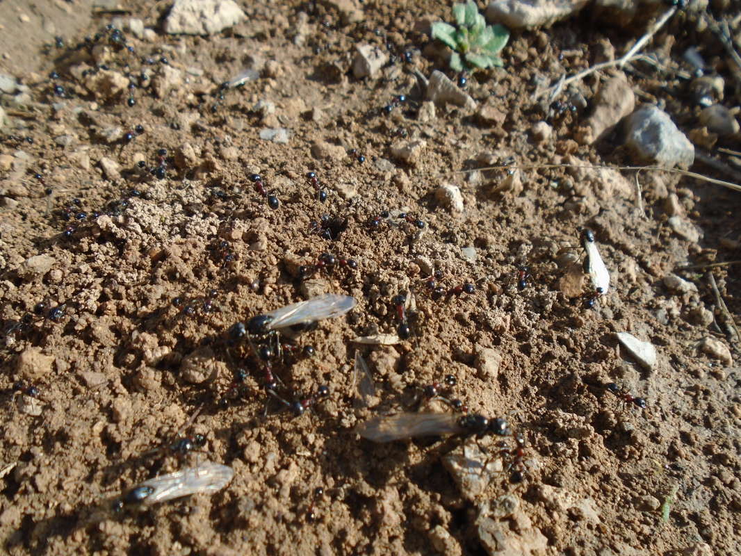 ���������� �������... ����� �����������  �� PhotoGeek.ru #��������