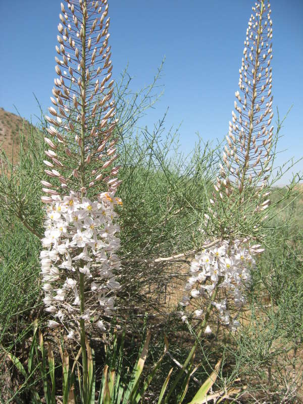 ��������... ����� �����������  �� PhotoGeek.ru #��������