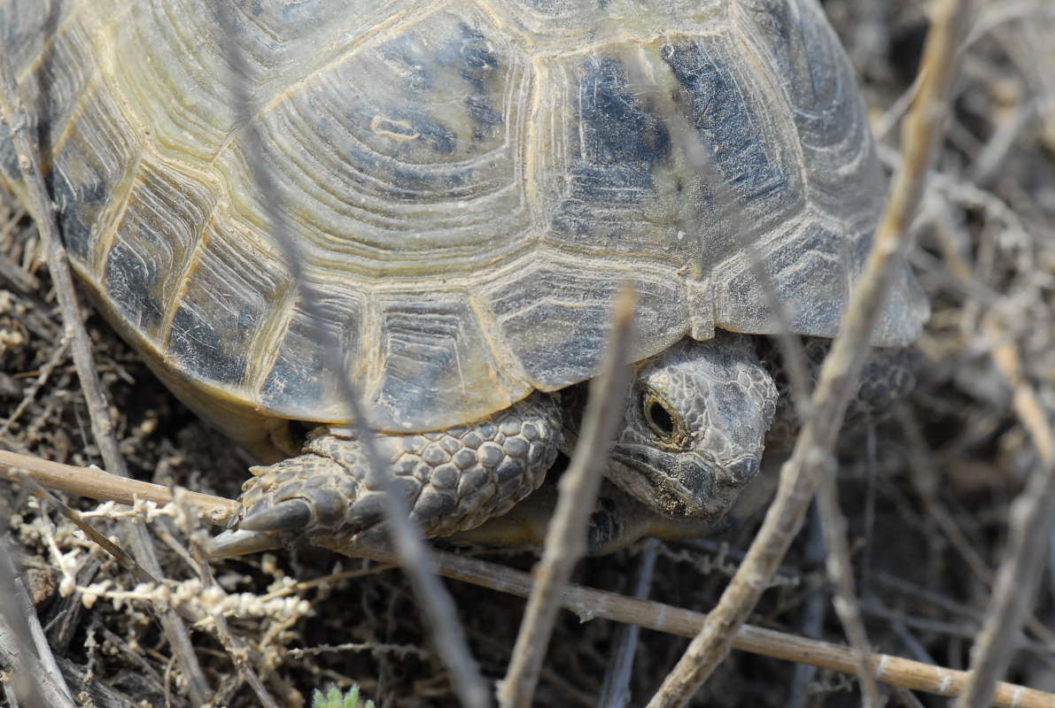 ����������... ����� �����������  �� PhotoGeek.ru #��������