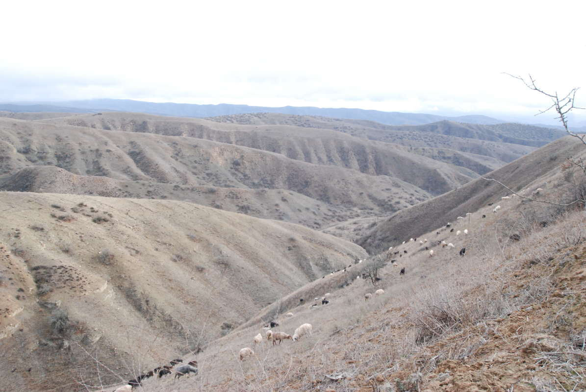 �����... ����� �����������  �� PhotoGeek.ru #��������