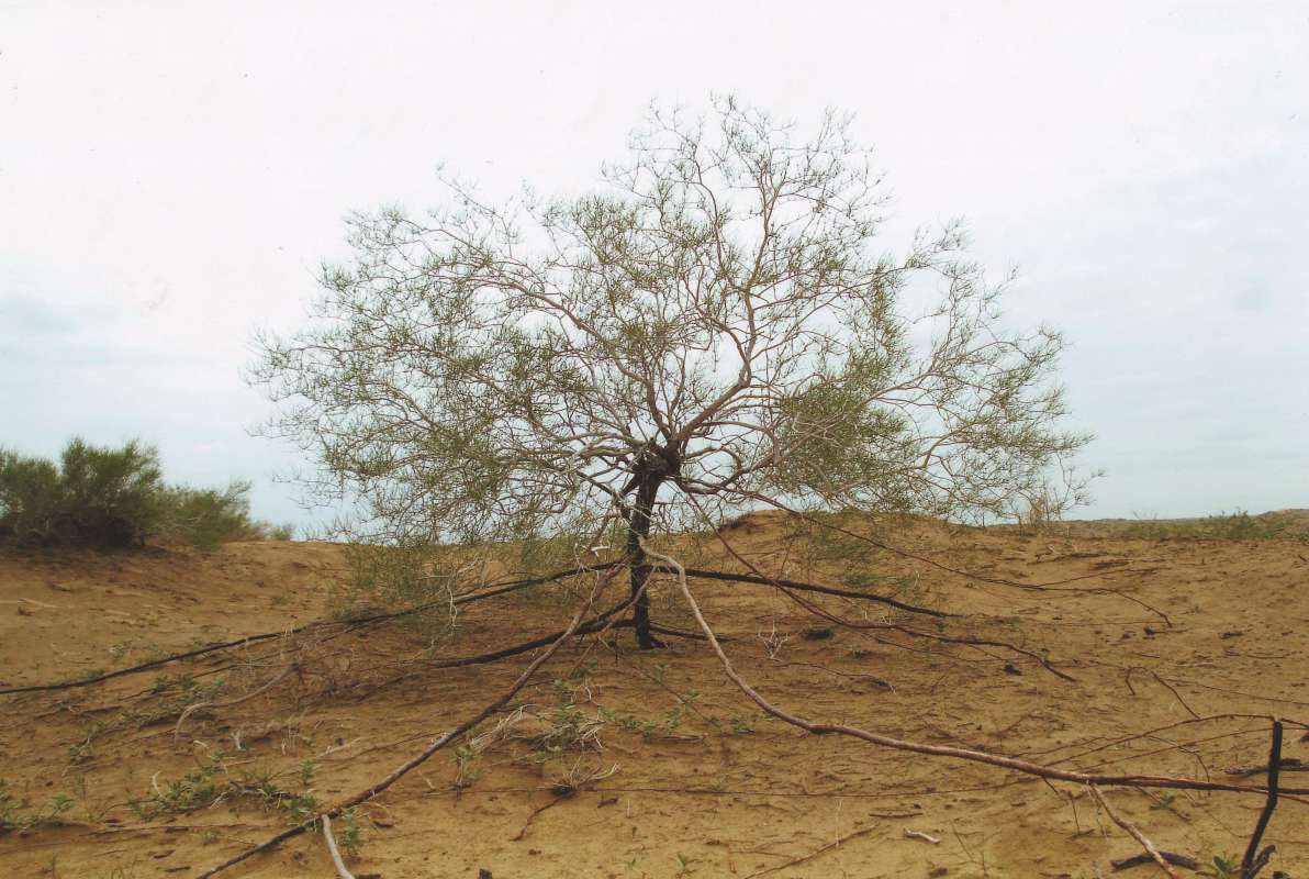 ����� ���� �����... ����� �����������  �� PhotoGeek.ru #��������