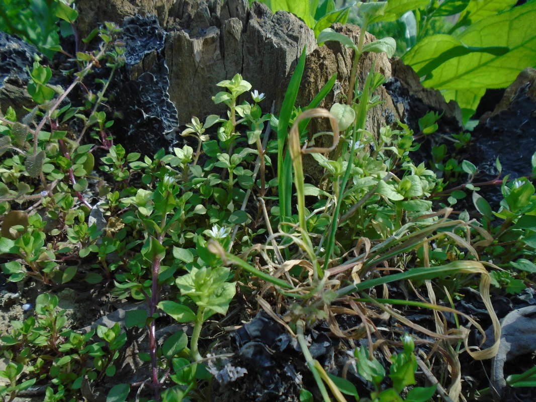 ������-�������... ����� �����������  �� PhotoGeek.ru #��������