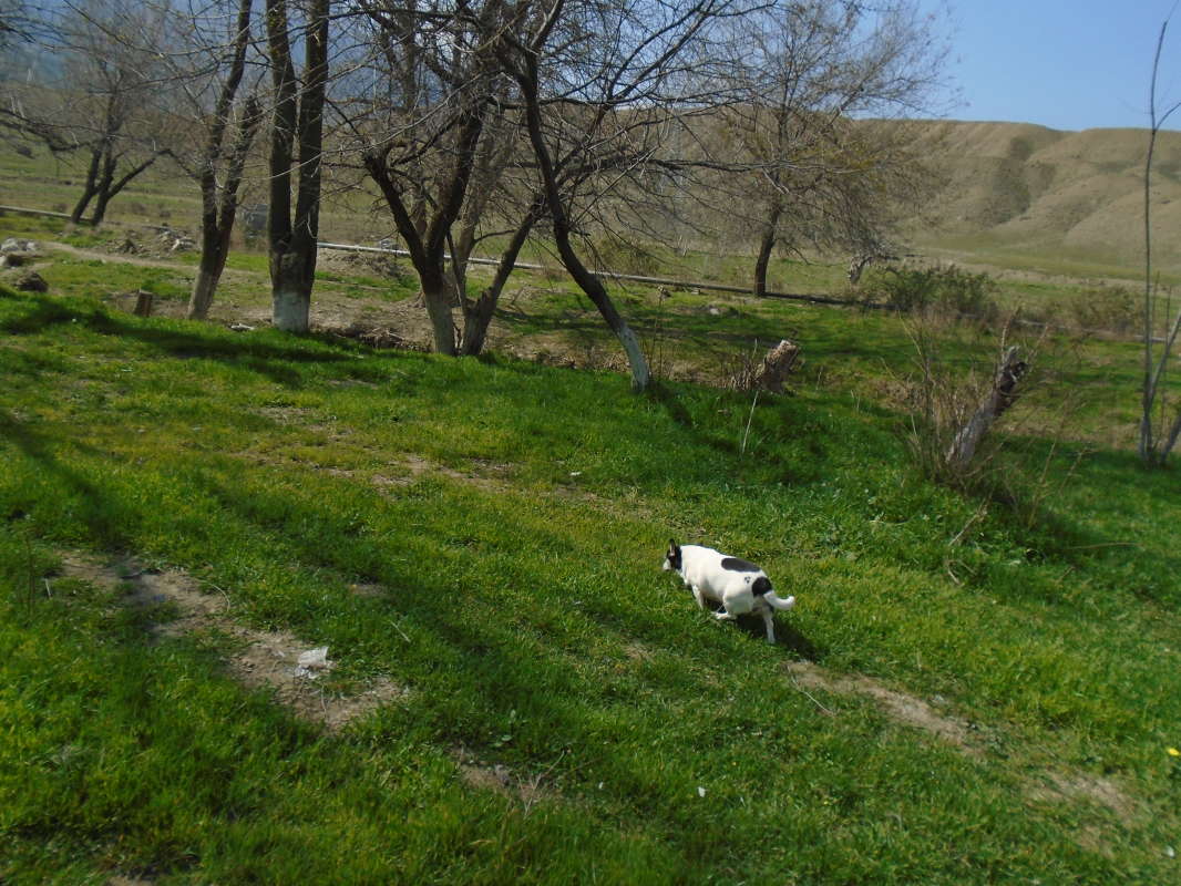 ����... ���! ����� �����������  �� PhotoGeek.ru #��������