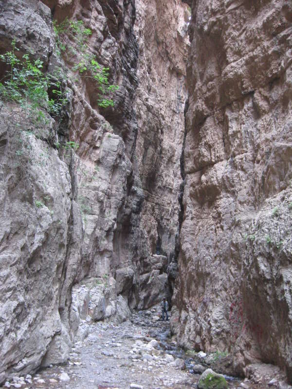 ����� ������... ����� �����������  �� PhotoGeek.ru #��������