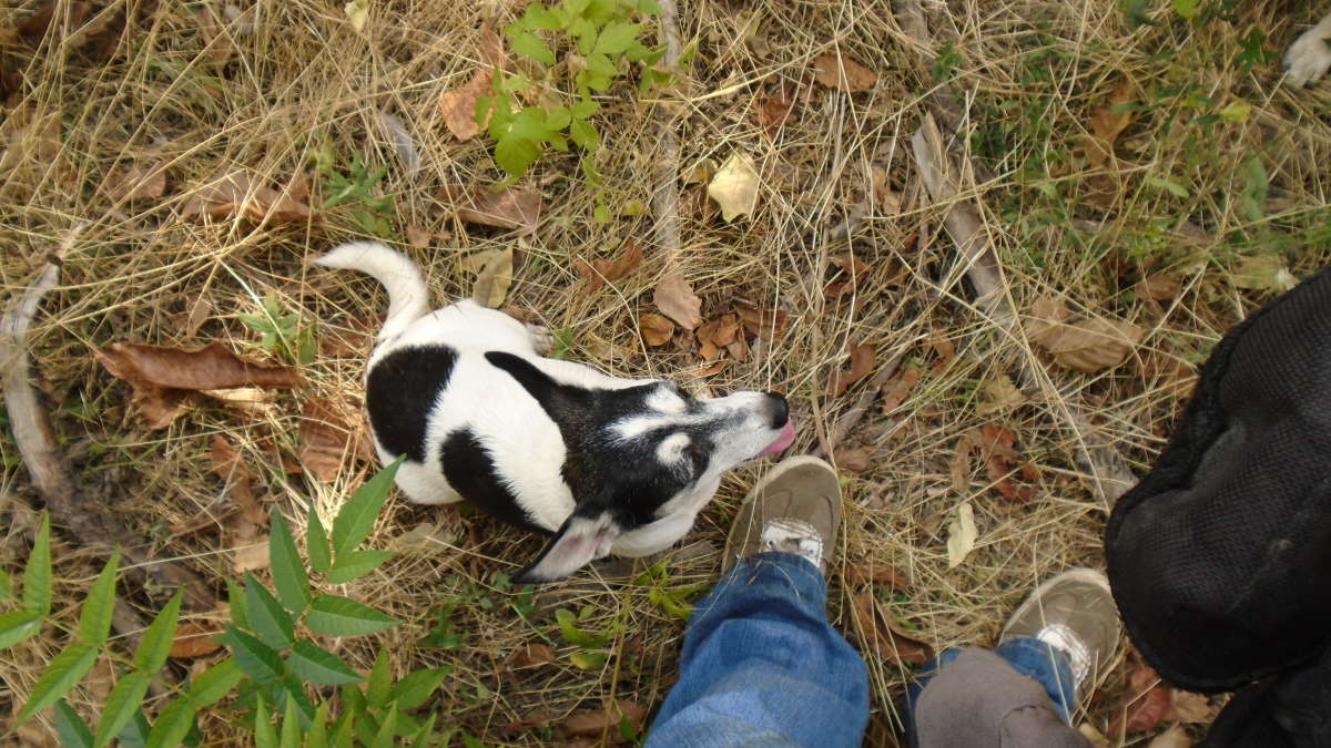 ... ����� �����������  �� PhotoGeek.ru #��������