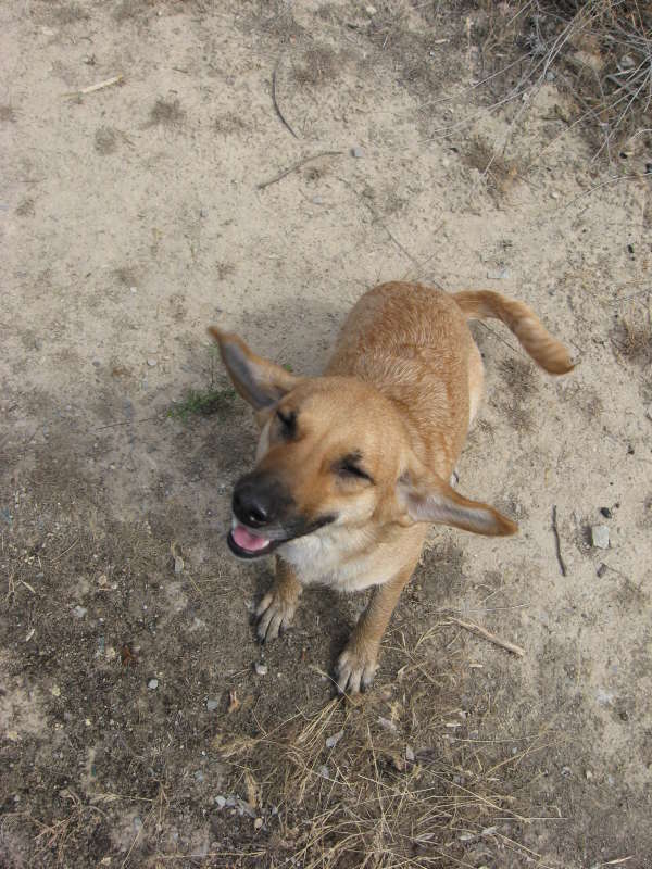 ����������... ����� �����������  �� PhotoGeek.ru #��������