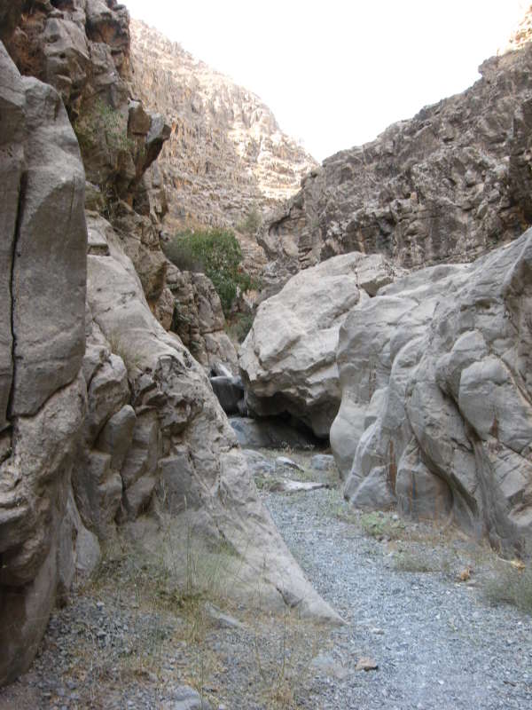 ... ����� �����������  �� PhotoGeek.ru #��������