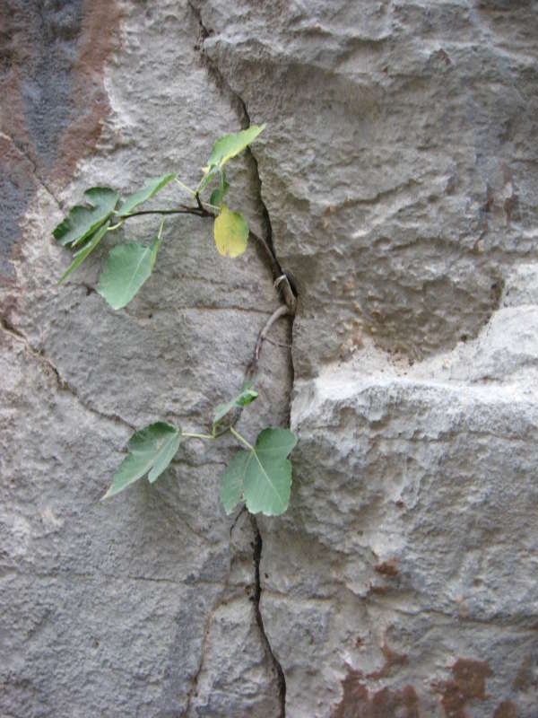 ��������... ����� �����������  �� PhotoGeek.ru #��������