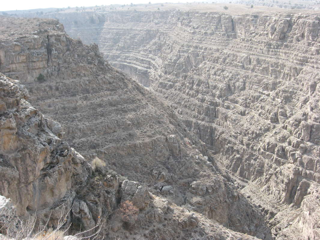 ������.... ����� �����������  �� PhotoGeek.ru #��������