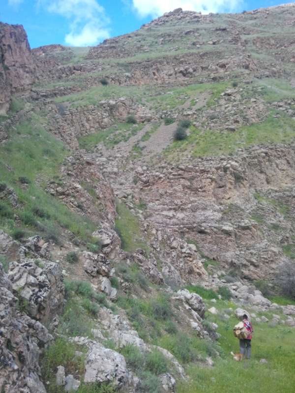 ... ����� �����������  �� PhotoGeek.ru #��������