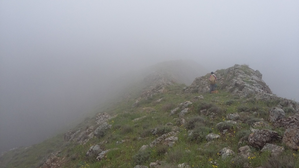 ����� � ������... ����� �����������  �� PhotoGeek.ru #��������