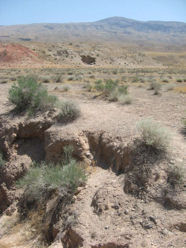 ���� � ���� �����... ����� �����������  �� PhotoGeek.ru #��������