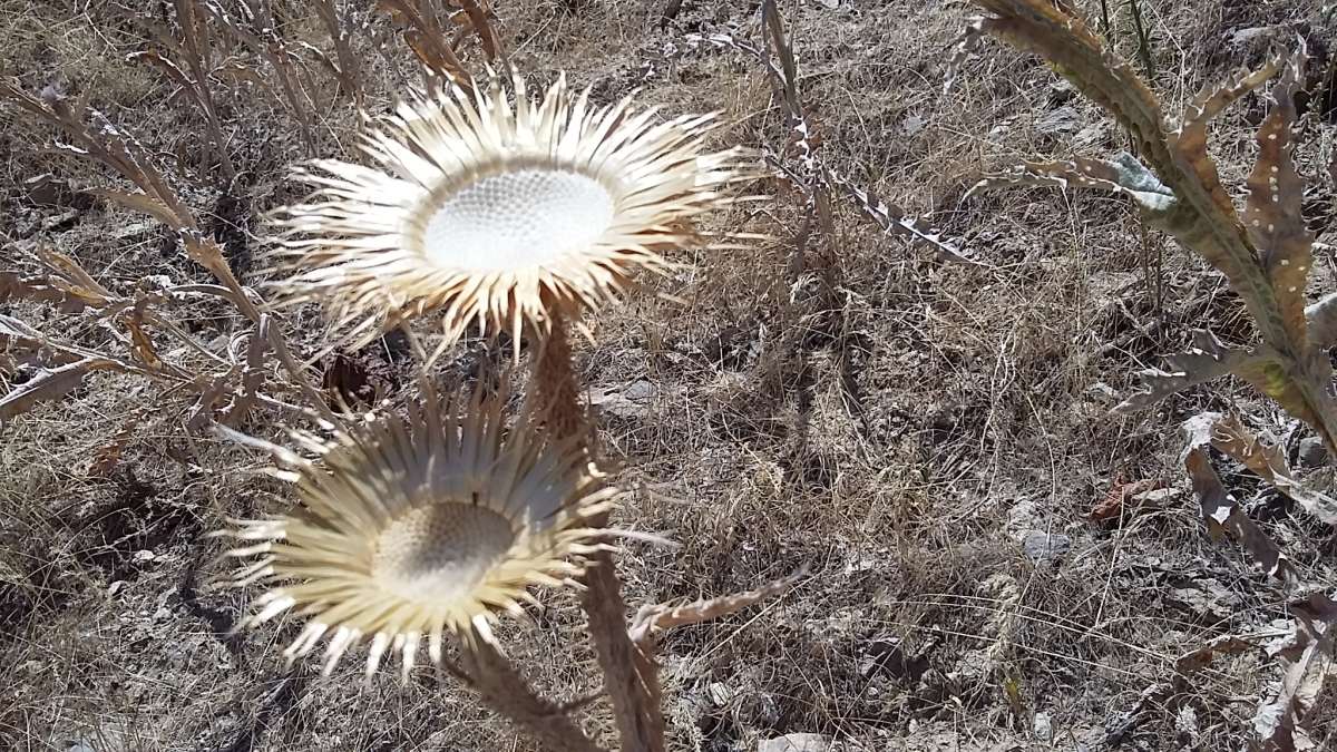 ��������... ����� �����������  �� PhotoGeek.ru #��������