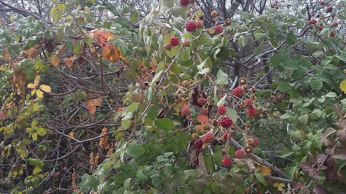 �������... ����� �����������  �� PhotoGeek.ru #��������