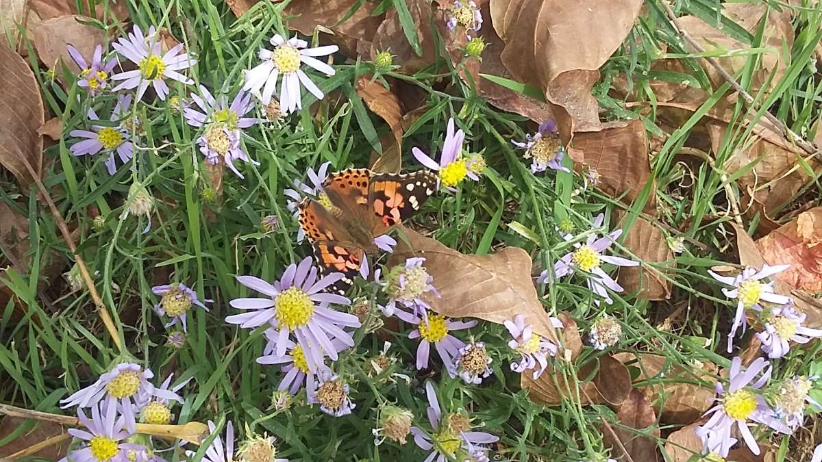 ��� ����.. ����� �����������  �� PhotoGeek.ru #��������